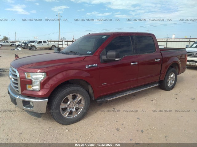 Photo 1 VIN: 1FTEW1CP5GKE72647 - FORD F-150 