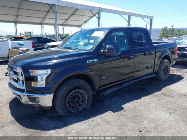 Photo 1 VIN: 1FTEW1CP5HKD09787 - FORD F-150 