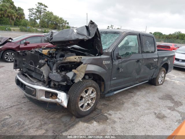 Photo 1 VIN: 1FTEW1CP6FFC71007 - FORD F150 