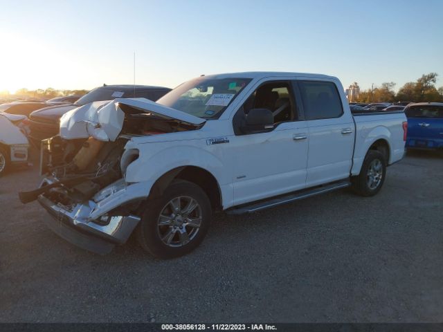 Photo 1 VIN: 1FTEW1CP6FKD18849 - FORD F-150 