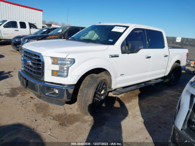 Photo 1 VIN: 1FTEW1CP6FKE82747 - FORD F-150 