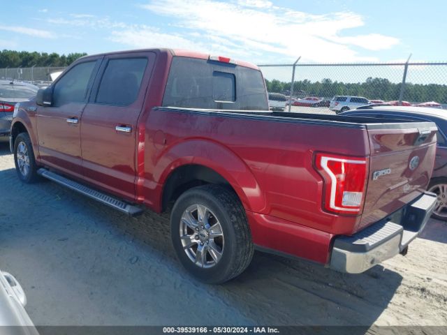 Photo 2 VIN: 1FTEW1CP6GFD50565 - FORD F-150 