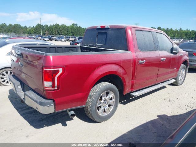 Photo 3 VIN: 1FTEW1CP6GFD50565 - FORD F-150 