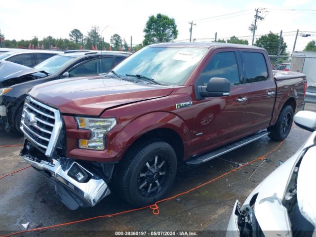 Photo 1 VIN: 1FTEW1CP6GKD40769 - FORD F-150 