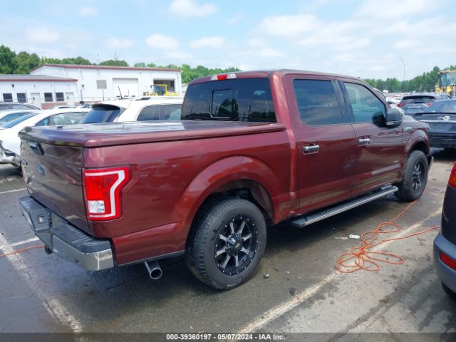 Photo 3 VIN: 1FTEW1CP6GKD40769 - FORD F-150 