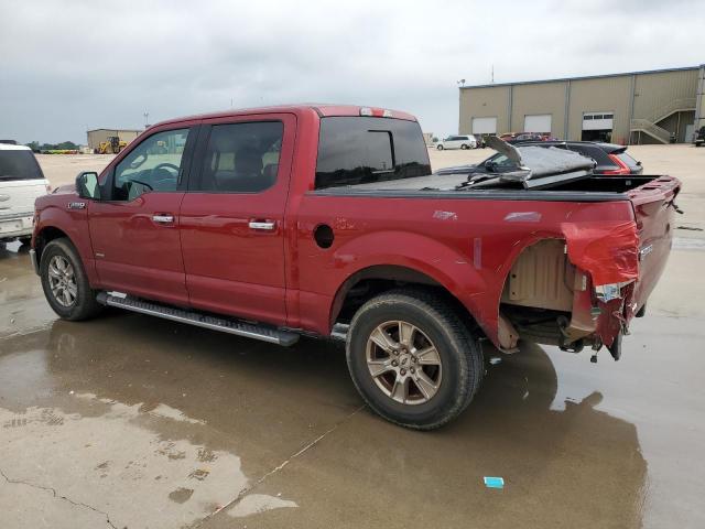 Photo 1 VIN: 1FTEW1CP6GKD72864 - FORD F150 