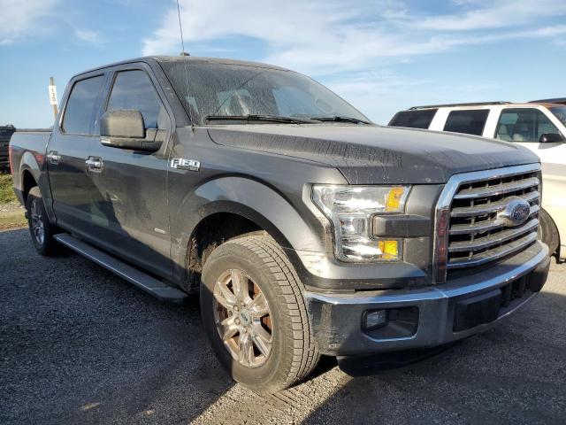 Photo 3 VIN: 1FTEW1CP6GKF41538 - FORD F150 SUPER 