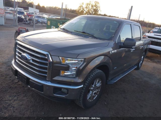 Photo 1 VIN: 1FTEW1CP6GKF47663 - FORD F-150 