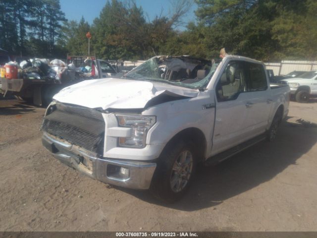 Photo 1 VIN: 1FTEW1CP6GKF75821 - FORD F-150 