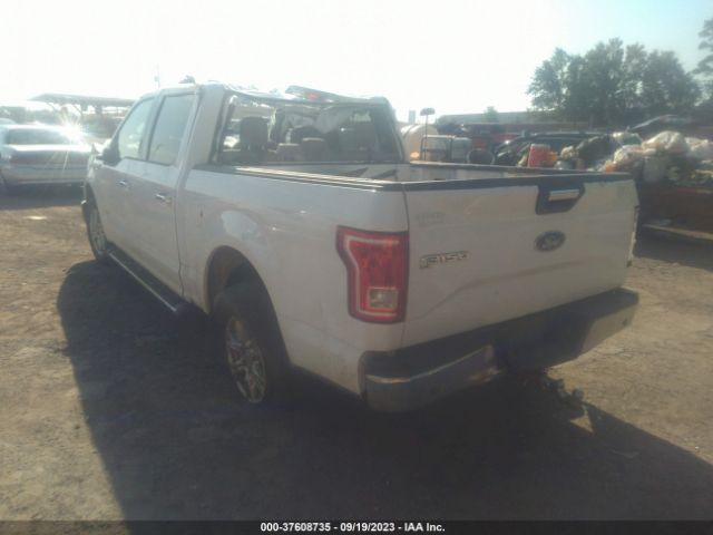 Photo 2 VIN: 1FTEW1CP6GKF75821 - FORD F-150 