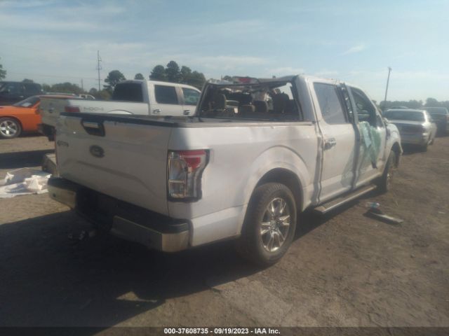 Photo 3 VIN: 1FTEW1CP6GKF75821 - FORD F-150 