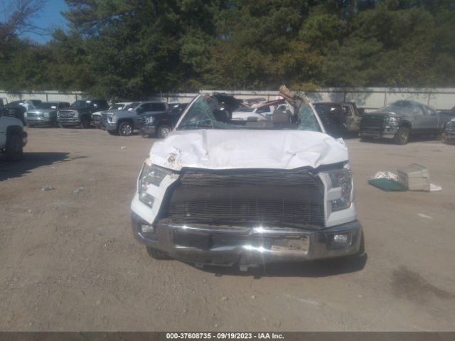 Photo 5 VIN: 1FTEW1CP6GKF75821 - FORD F-150 