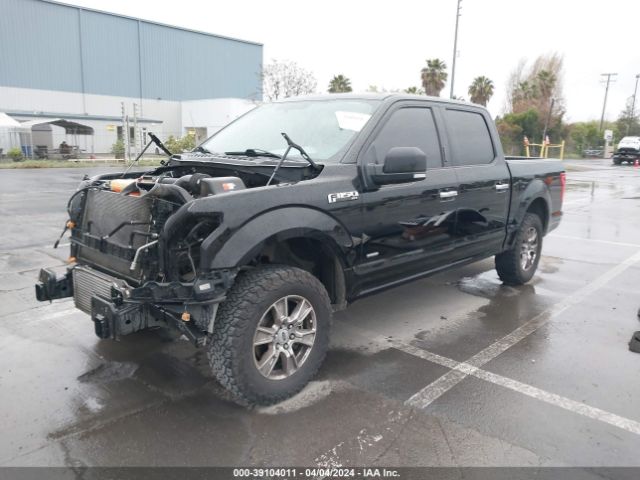 Photo 1 VIN: 1FTEW1CP6HFA34682 - FORD F-150 