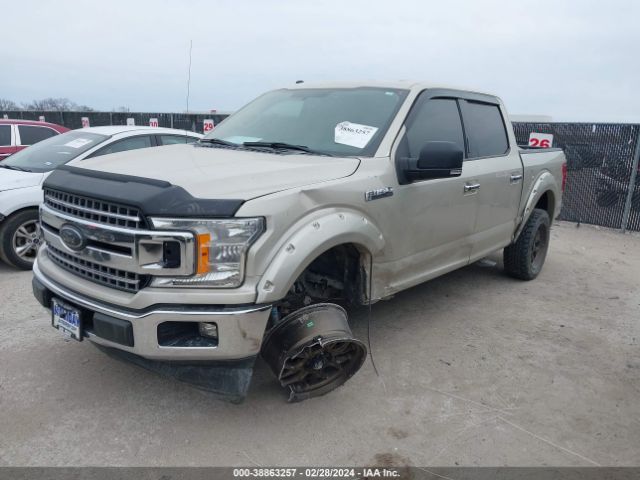 Photo 1 VIN: 1FTEW1CP6JKF02598 - FORD F-150 