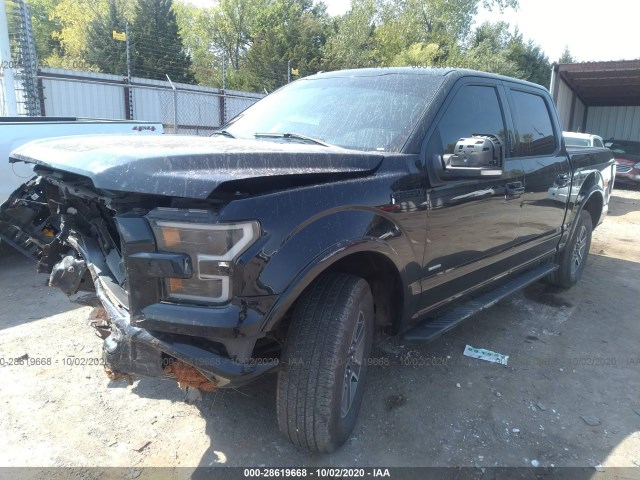 Photo 1 VIN: 1FTEW1CP7GKD70153 - FORD F-150 