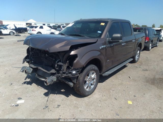 Photo 1 VIN: 1FTEW1CP7GKF80798 - FORD F-150 