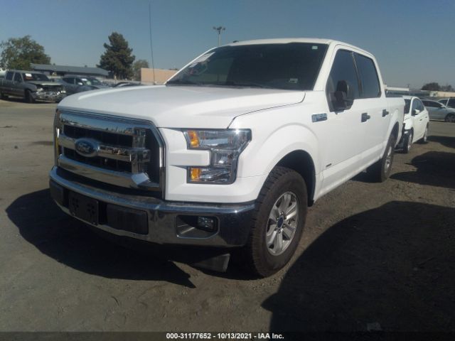 Photo 1 VIN: 1FTEW1CP7HKC85203 - FORD F-150 