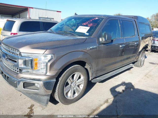 Photo 1 VIN: 1FTEW1CP7KKC49003 - FORD F-150 