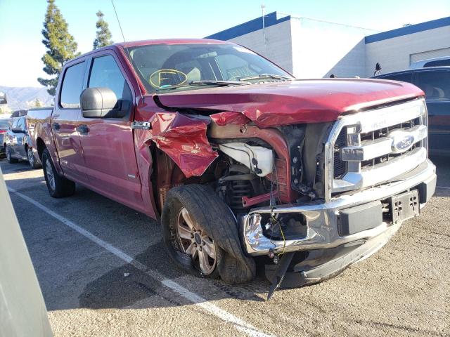 Photo 3 VIN: 1FTEW1CP8GFA14089 - FORD F150 SUPER 