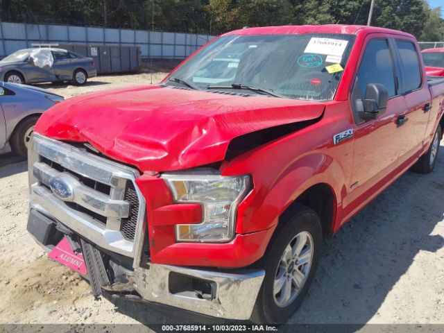 Photo 5 VIN: 1FTEW1CP9GFB46164 - FORD F-150 