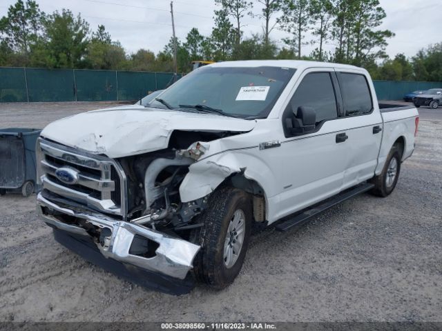 Photo 1 VIN: 1FTEW1CP9GFC16326 - FORD F150 