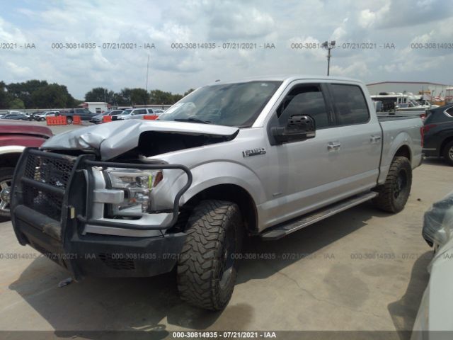 Photo 1 VIN: 1FTEW1CP9GKD38367 - FORD F-150 