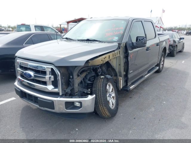 Photo 1 VIN: 1FTEW1CP9GKD79677 - FORD F-150 