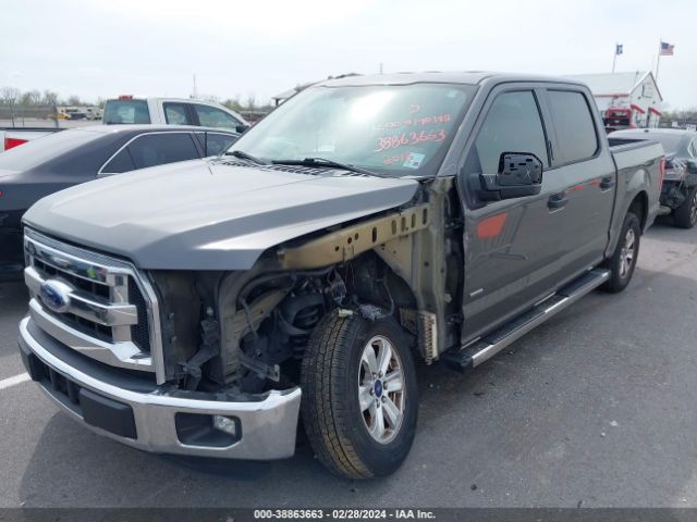 Photo 5 VIN: 1FTEW1CP9GKD79677 - FORD F-150 