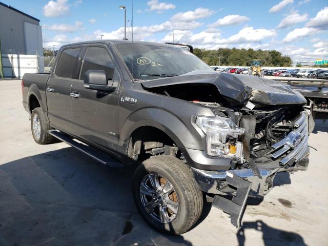 Photo 3 VIN: 1FTEW1CP9GKF41596 - FORD F150 SUPER 