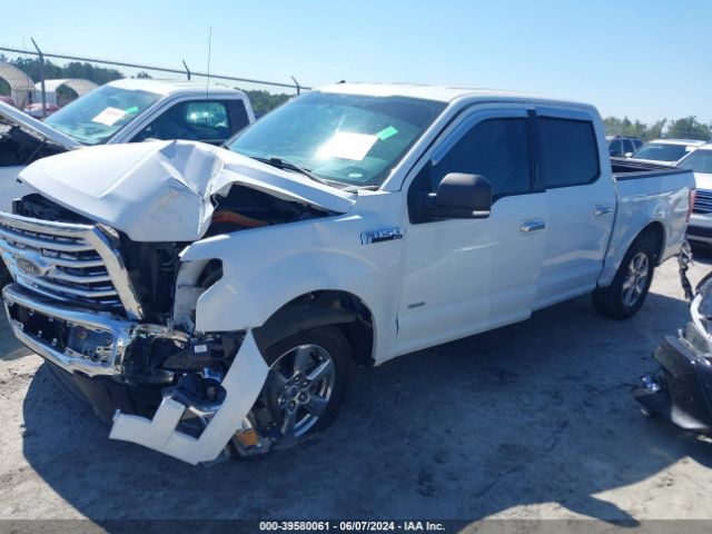 Photo 1 VIN: 1FTEW1CP9HFA70107 - FORD F-150 