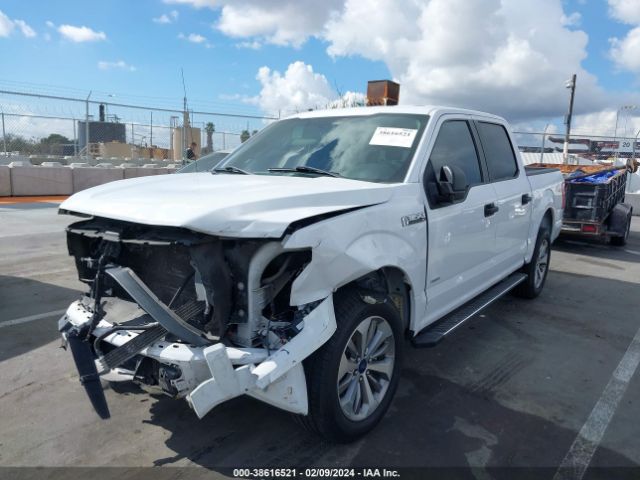 Photo 1 VIN: 1FTEW1CP9HKC99491 - FORD F-150 