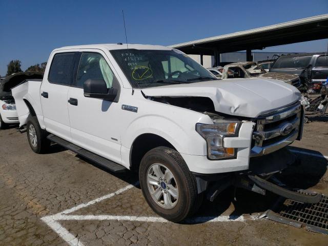 Photo 0 VIN: 1FTEW1CP9HKE52385 - FORD F150 SUPER 