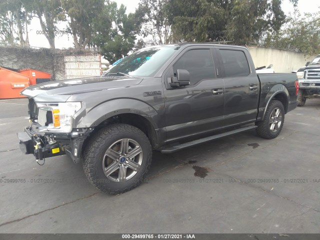 Photo 1 VIN: 1FTEW1CP9LKD39836 - FORD F-150 