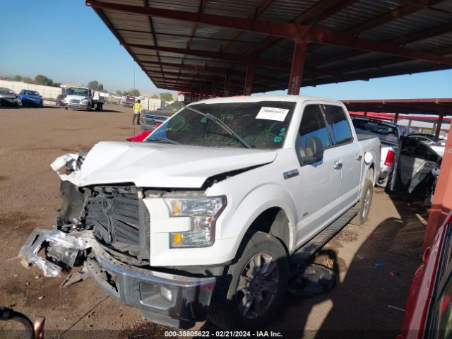 Photo 1 VIN: 1FTEW1CPXGKD44551 - FORD F-150 