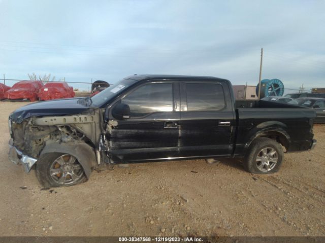 Photo 5 VIN: 1FTEW1CPXGKE22908 - FORD F150 