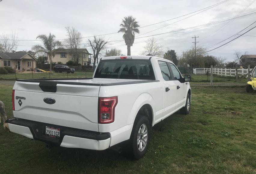 Photo 3 VIN: 1FTEW1CPXHKC30129 - FORD F150 SUPER 