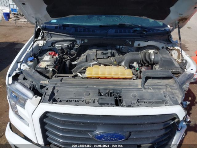 Photo 9 VIN: 1FTEW1CPXHKD53252 - FORD F-150 