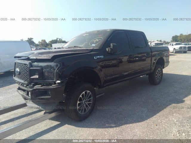 Photo 1 VIN: 1FTEW1CPXKKD70219 - FORD F-150 