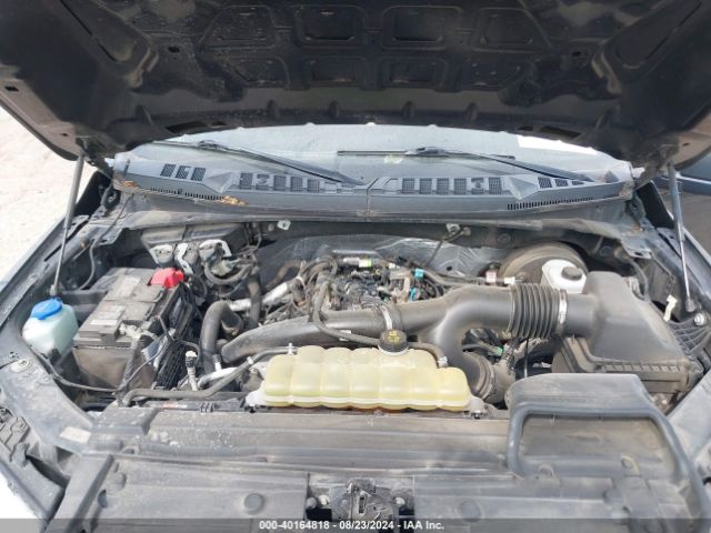 Photo 9 VIN: 1FTEW1CPXKKD88784 - FORD F-150 