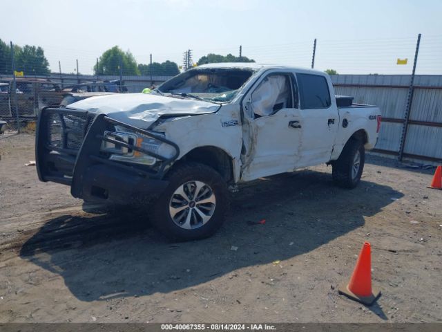 Photo 1 VIN: 1FTEW1E41LFB35883 - FORD F-150 