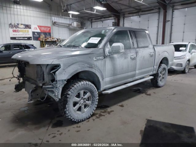 Photo 1 VIN: 1FTEW1E41LFC84181 - FORD F-150 