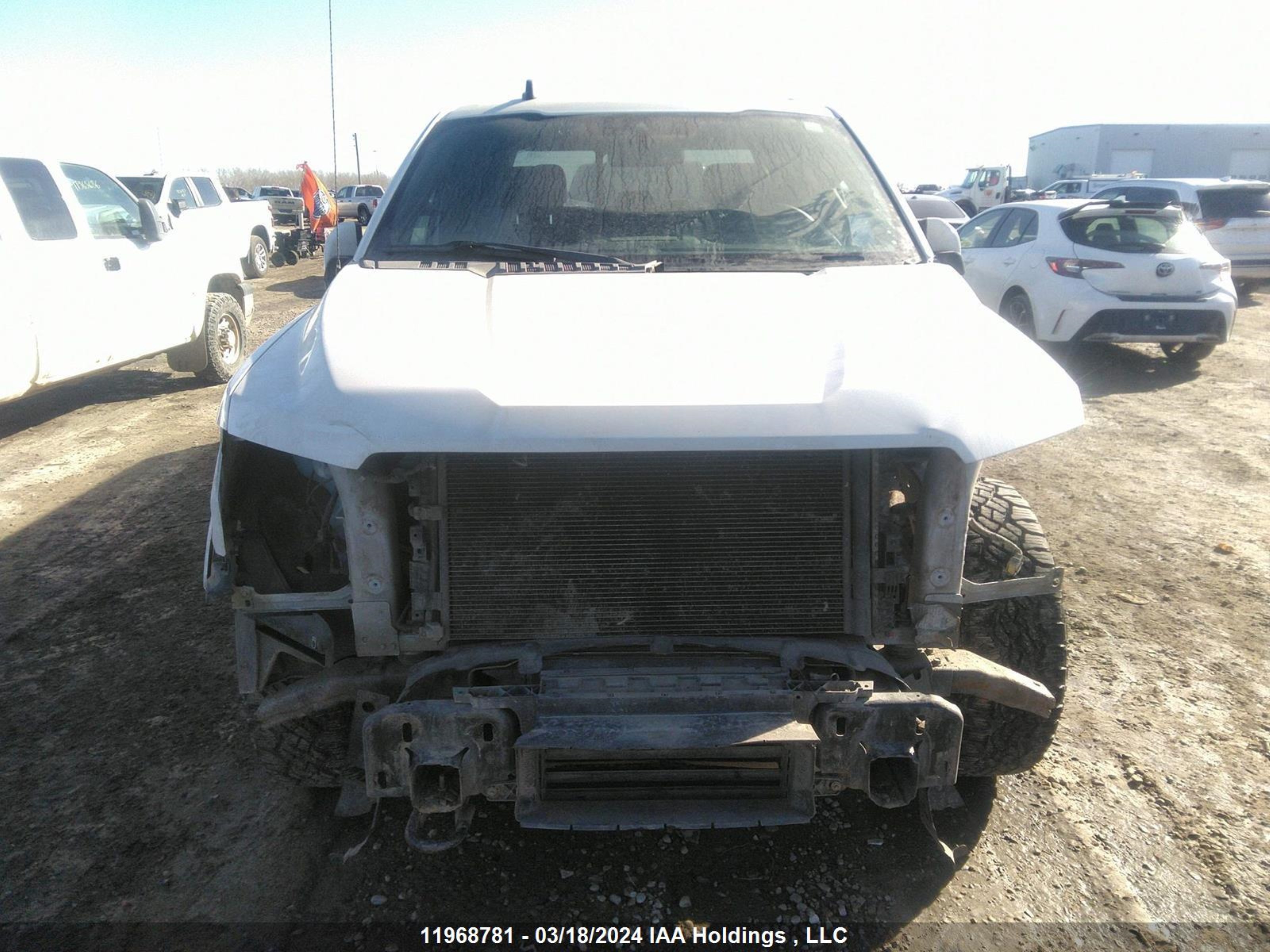 Photo 12 VIN: 1FTEW1E42KFB07721 - FORD F-150 