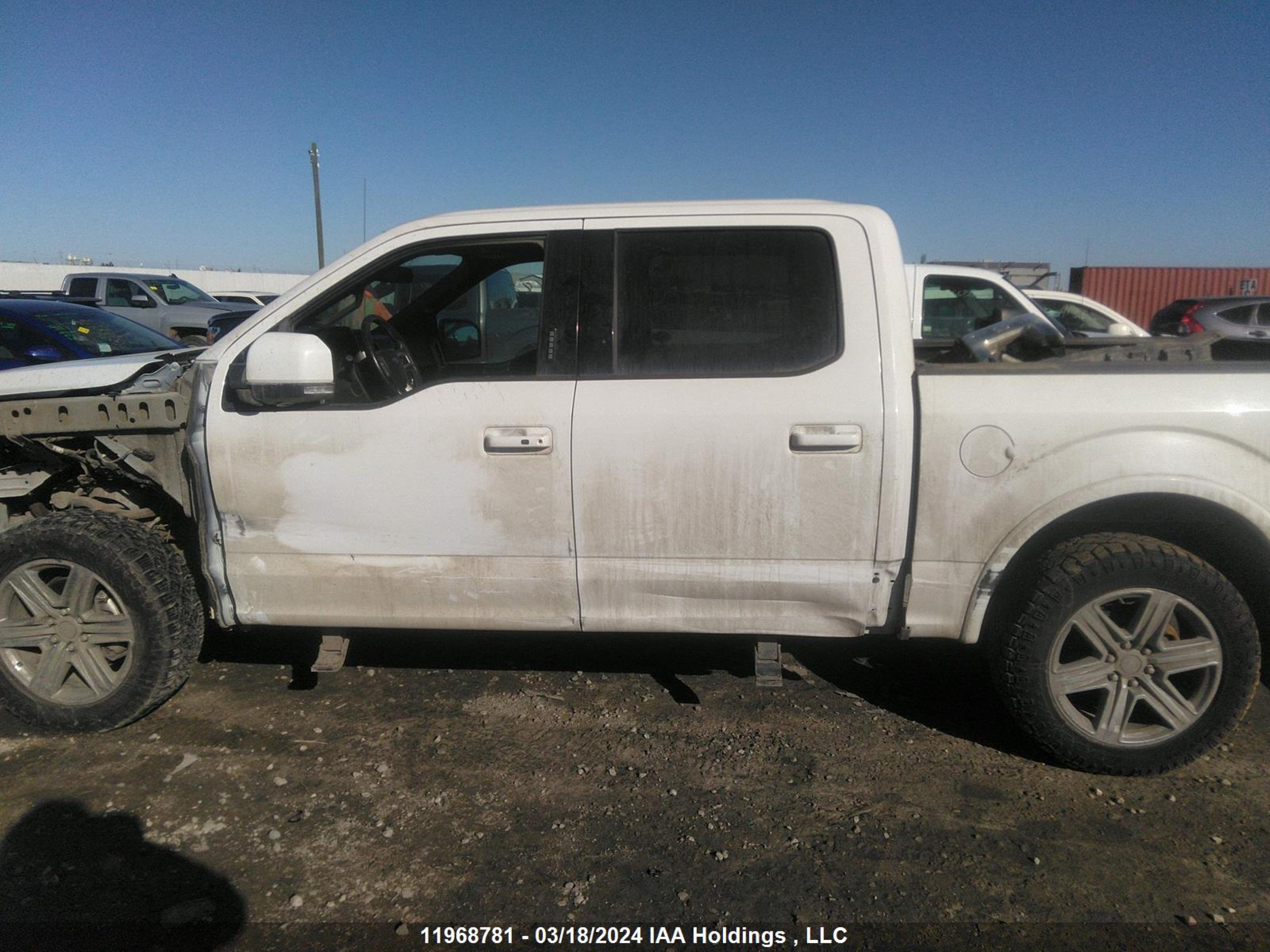 Photo 14 VIN: 1FTEW1E42KFB07721 - FORD F-150 