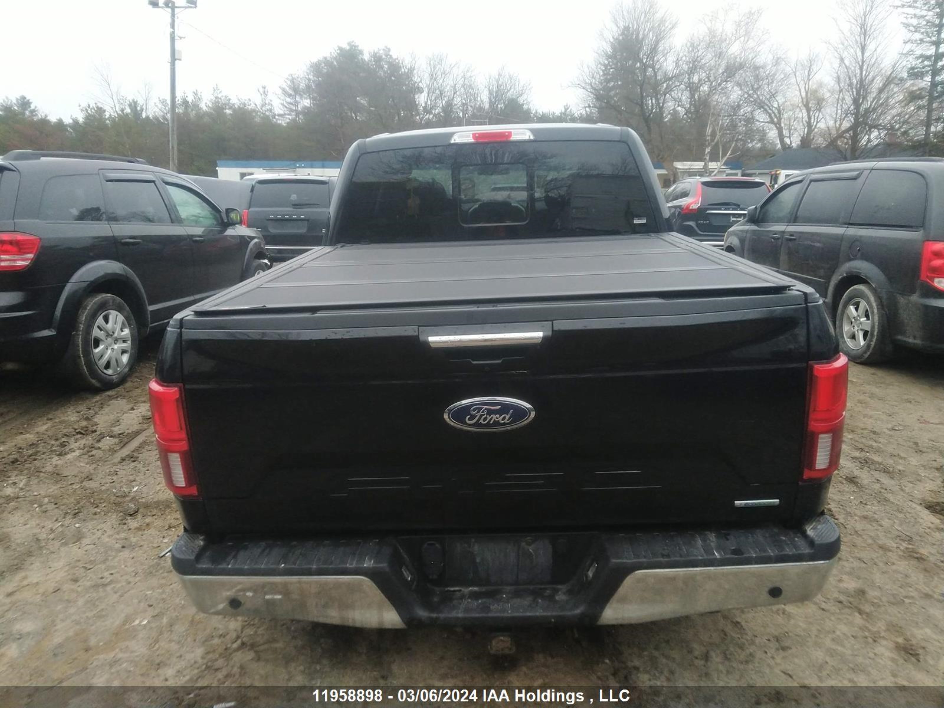 Photo 14 VIN: 1FTEW1E42LFA30995 - FORD F-150 