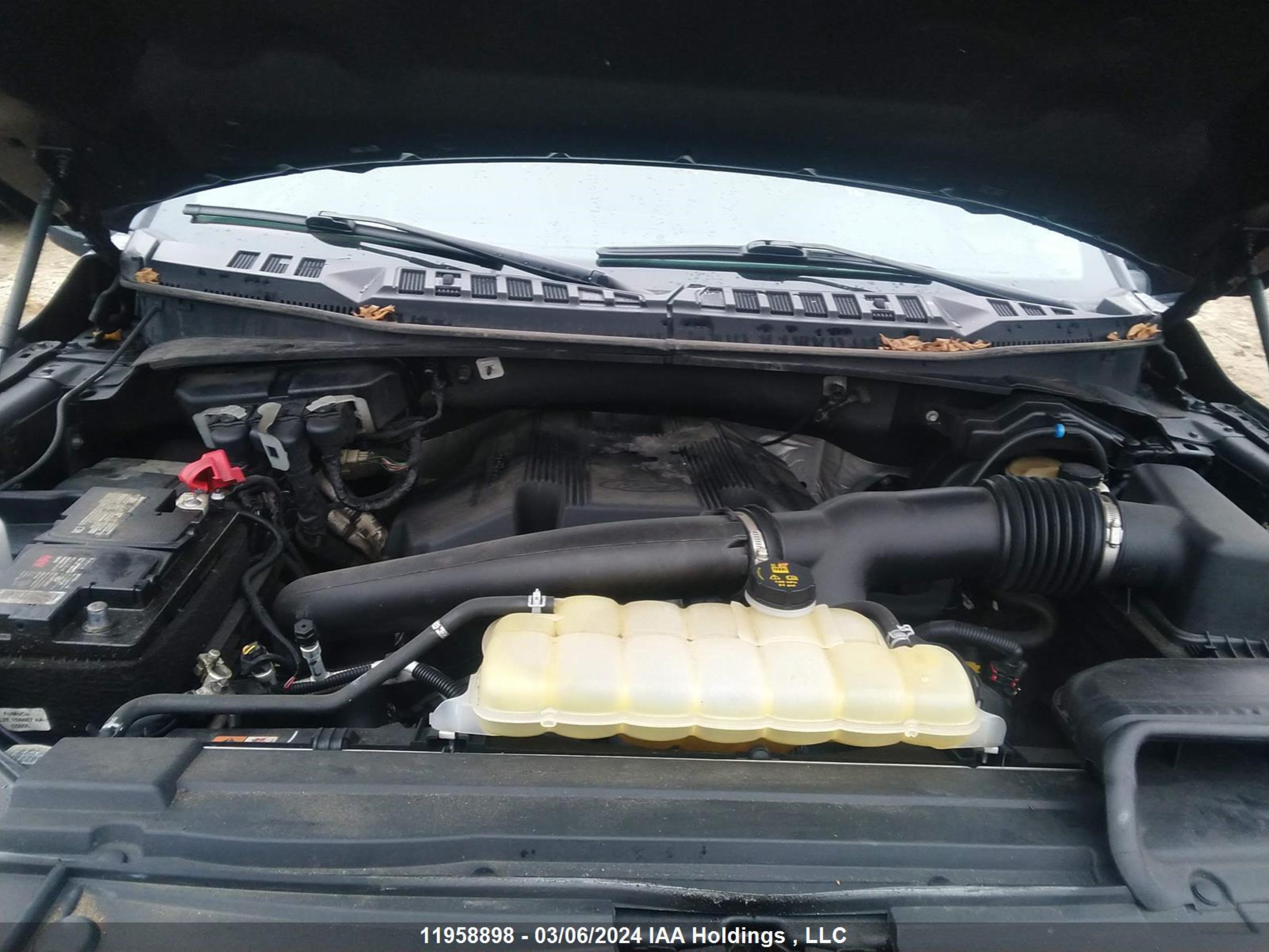 Photo 9 VIN: 1FTEW1E42LFA30995 - FORD F-150 