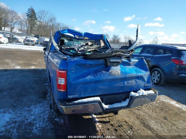 Photo 5 VIN: 1FTEW1E42LKF03317 - FORD F-150 