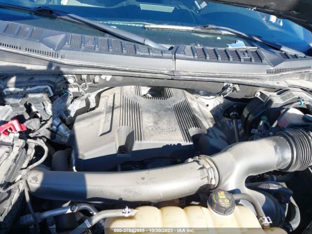 Photo 9 VIN: 1FTEW1E43KKE40601 - FORD F-150 