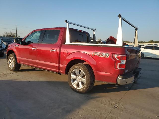 Photo 1 VIN: 1FTEW1E43KKE59102 - FORD F150 SUPER 