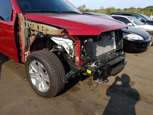 Photo 8 VIN: 1FTEW1E43LFA81079 - FORD F150 SUPER 