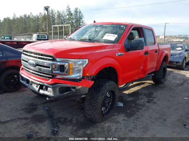 Photo 1 VIN: 1FTEW1E43LFB56072 - FORD F-150 